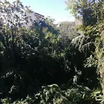 Inside Naples-dint'e'viche' Διαμέρισμα
