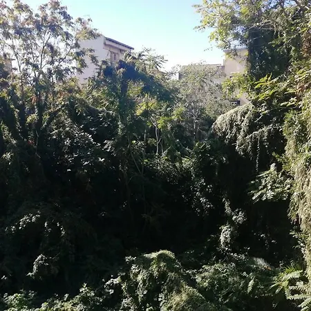 Inside Naples-dint'e'viche' Lejlighed