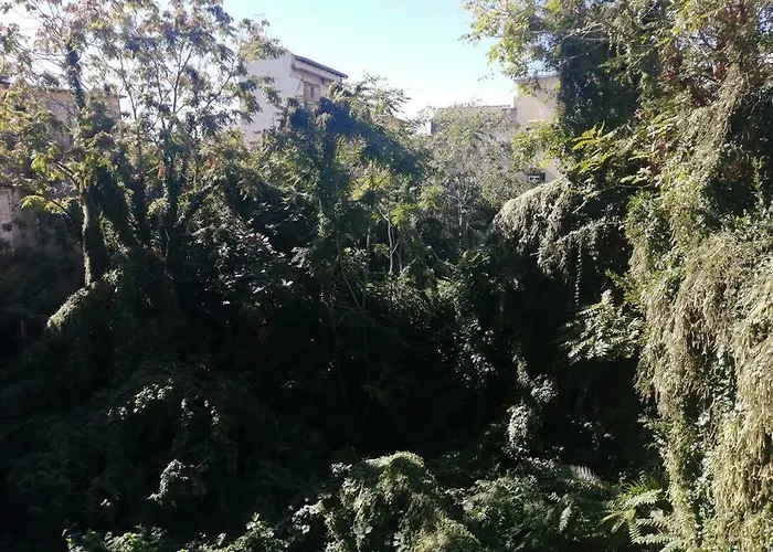 Inside Naples-dint'e'viche' Διαμέρισμα